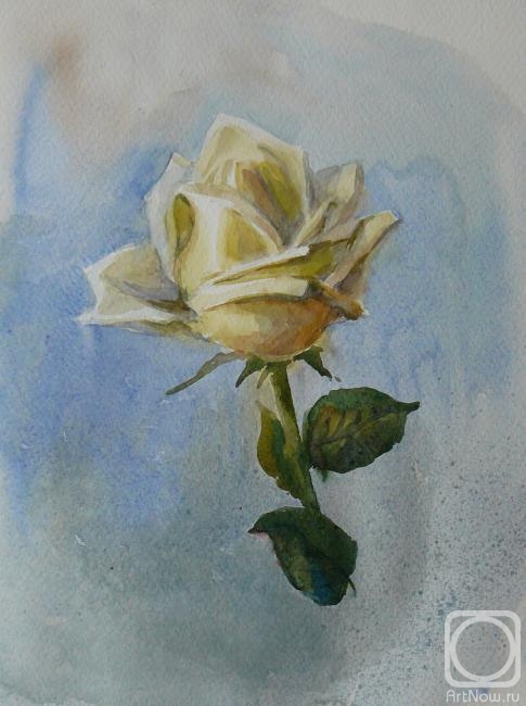 Golub Tatyana. White Rose
