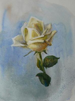 Golub Tatyana Vsevolodovna. White Rose