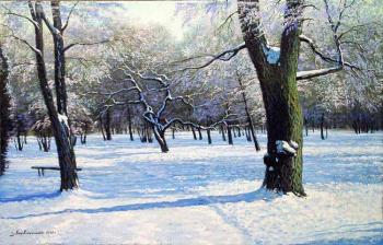 Winter in the park. Litvinenko Gennadiy
