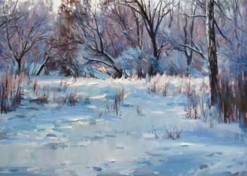 Winter landscape. Taranov Viacheslav