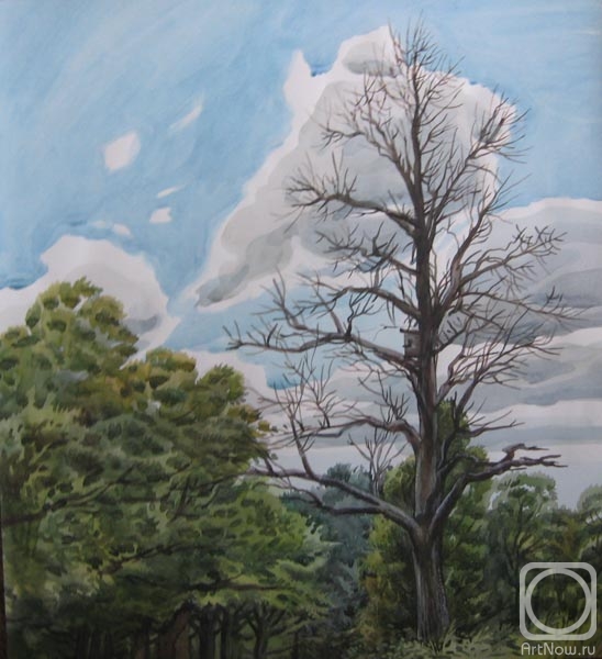 �������. ������� ������. � ���������� �����