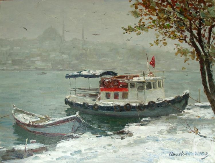 Ahmetvaliev Ildar. Winter in Istanbul