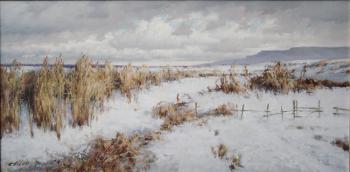 Winter in the steppe. Nemakin Aleksandr