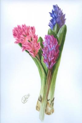 ������� �������� ���������