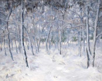 Acacia in the snow