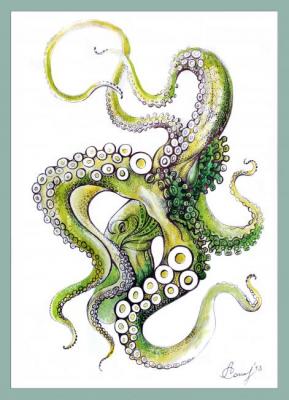 Octopus. Sokolova Lyudmila