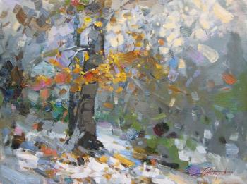 ������� ����. ������������. ������� �������