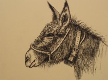 592 Donkey. Lukaneva Larissa