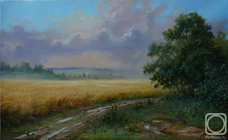 Shurganov Vladislav. DAY RAIN