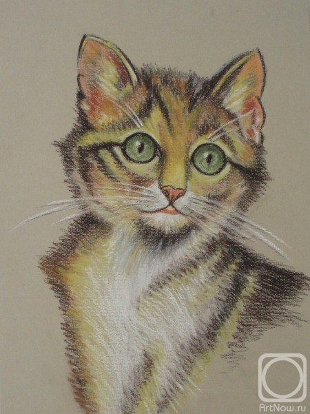 �������. �������� ������. 594 �������