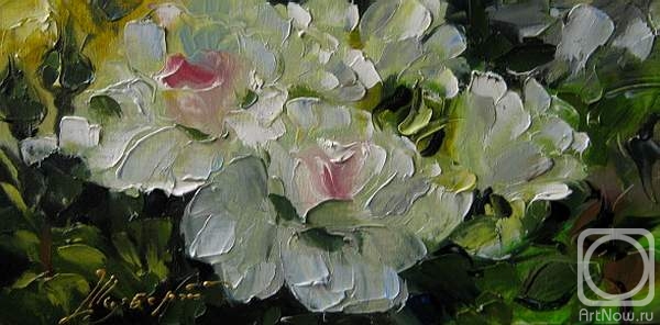 ������� ������ �� ������. ������ �������. ������� ����