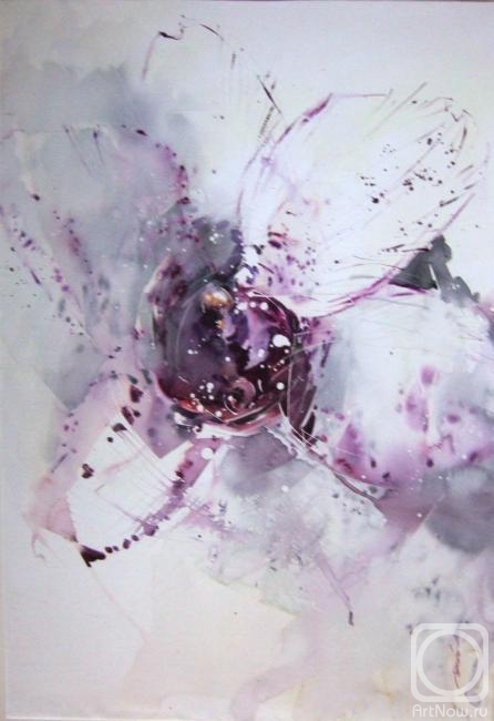 �������. ������ �����. ����� ����������