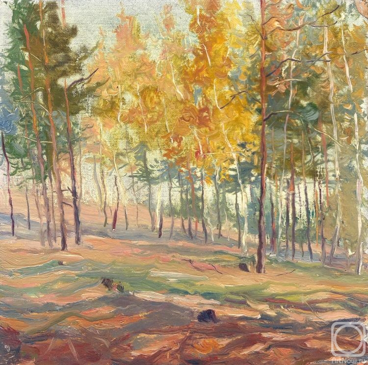 Voronov Vladimir. Colors of autumn
