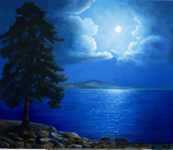 Moonlit Night on the Lake. Schitz Viktor