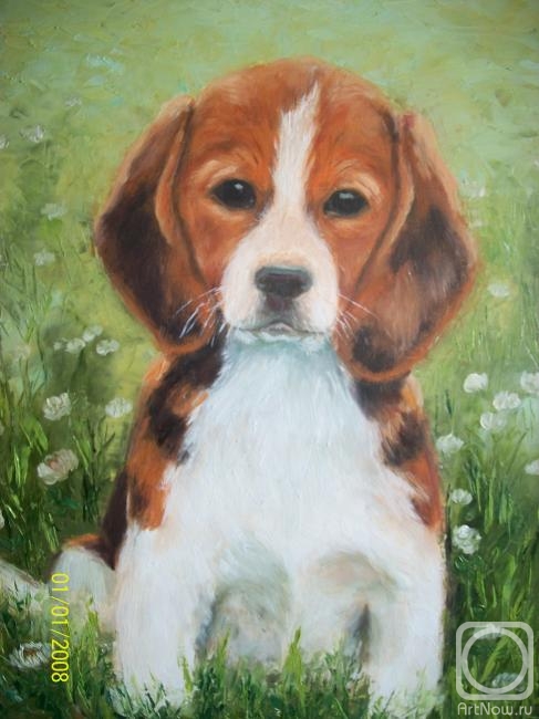 ������� ������ �� ������. �������� ����. �����