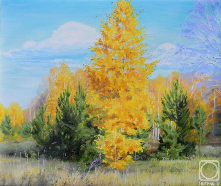 ������� ������ �� ������. ������� ��������. �����. ��������