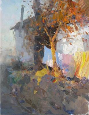 ������� �������� ����