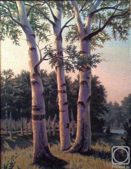 ������� ������ �� ������. ���������� �������. �������� �����