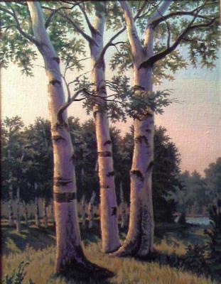 ������� ��������� �����