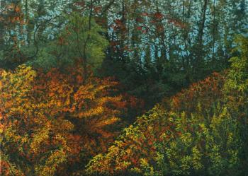 Colorful alluring thickets. Dementiev Alexandr