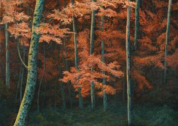 Colorful woods. Dementiev Alexandr
