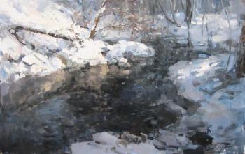Stream in Winter Park. Makarov Vitaly