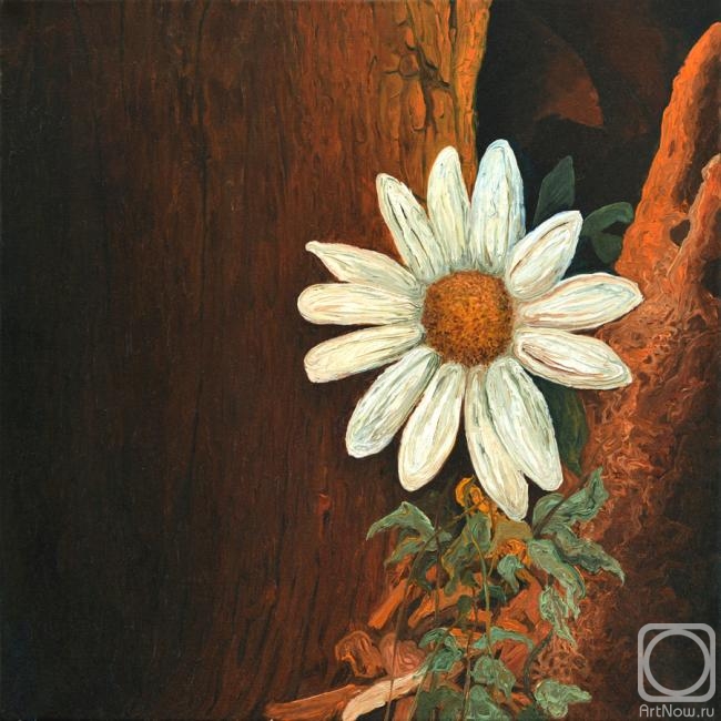 ������� ������ �� ������. ��������� ���������. ������� � ��������� ��������