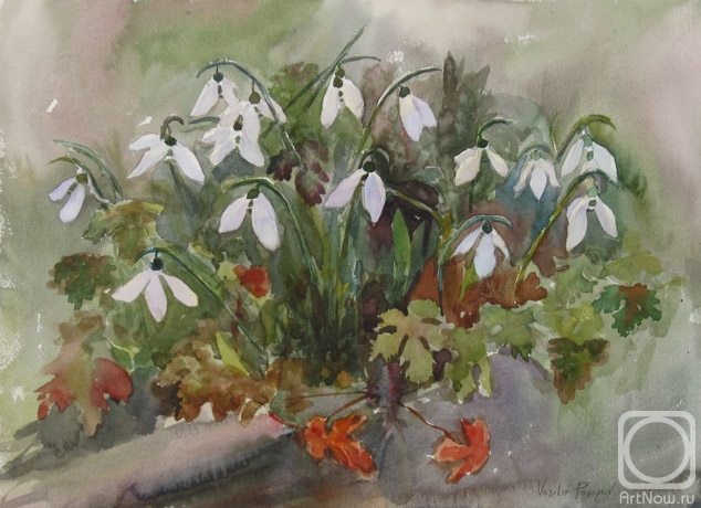 �������. ������� �������. �����������