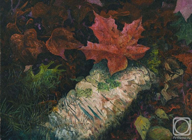 ������� ������ �� ������. ��������� ���������. ������� ��������