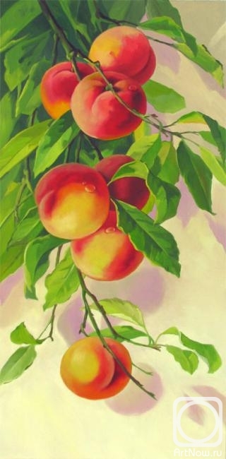 Gorbatenkaia Tatiana. Branch of peaches