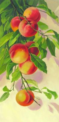 Branch of peaches (A Gift To The Hostess On Kitchen). Gorbatenkaia Tatiana