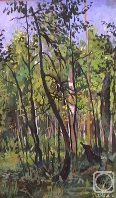 �������. ���������� �������. ���� � ����