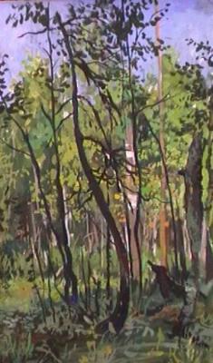 Shadow in the Forest. Mihajljukov Nikolay