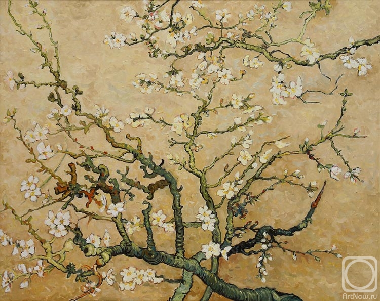 Aleksandrov Vladimir. Flowering almond branches