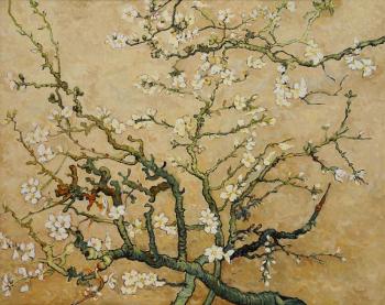 Flowering almond branches. Aleksandrov Vladimir