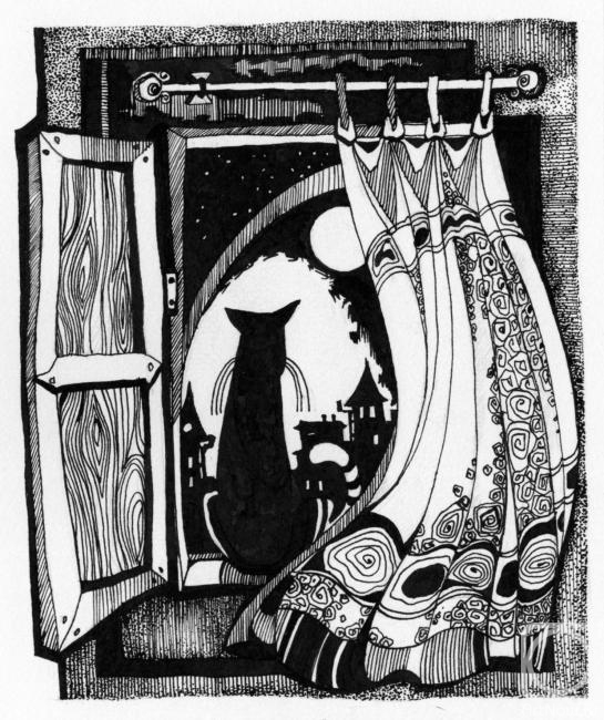 Stoylik liudmila. the moon