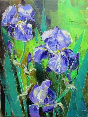 The blue irises tired with the sun