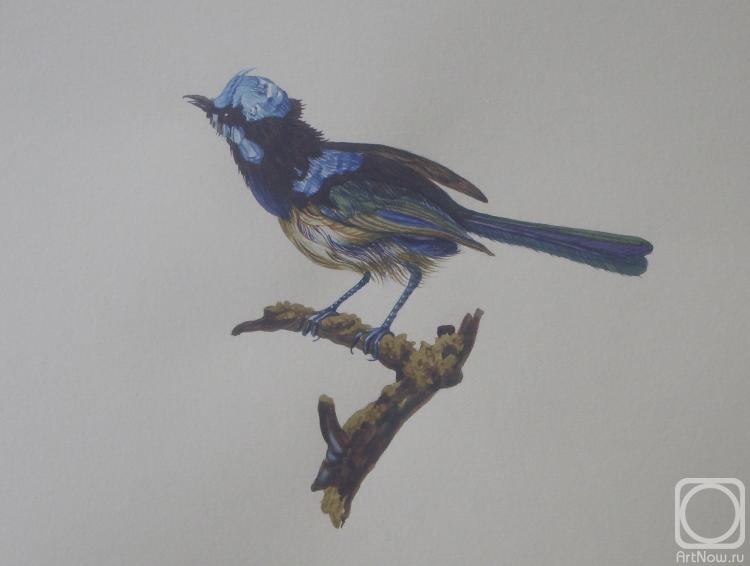 �������. ������� �������. �����