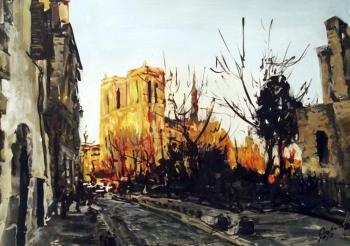 Notre Dame. Sunset. Stroev Mikhail