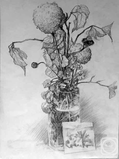 Knecht Aleksander. Untitled