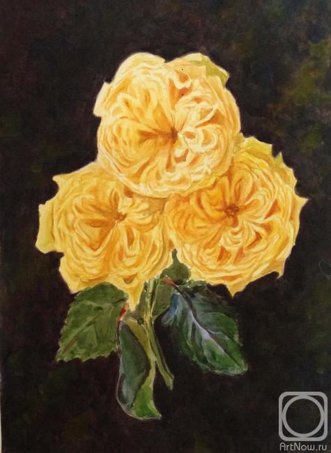 �������. ������� �����. ��� ������ ����