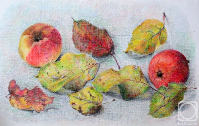 �������. ������ ���������. ����� ������� �������