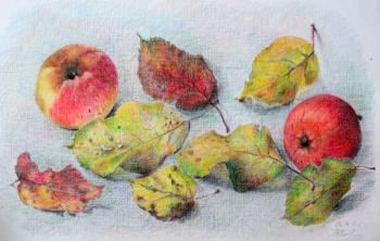 ����� ������� �������. ������ ���������