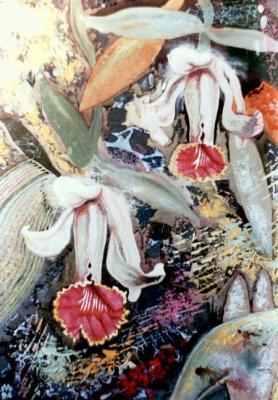 ������� ��������