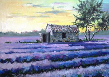 Lavender. What a wonderful day it was. Udaltsov Vladimir