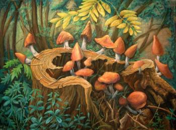 ������� ���������