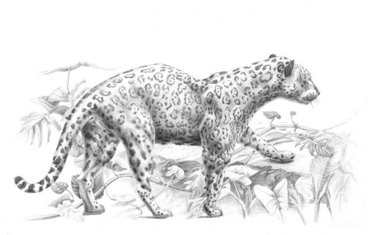 �������. ��������� ���������. ��������