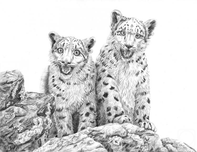 Dementiev Alexandr. Snow Leopard Cubs
