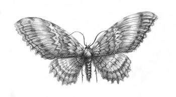 ������� ��������-����