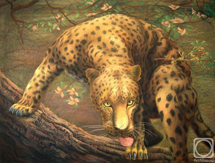 Dementiev Alexandr. Leopard sees prey